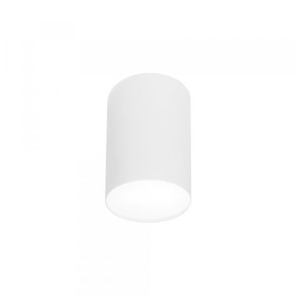 SELSEY Spot sufitowy Point Plexi 20 cm biały 6528