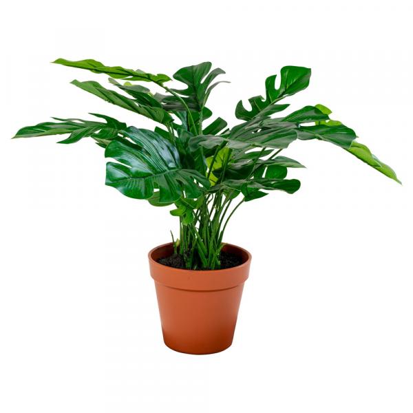 SELSEY Sztuczny kwiat Derbidly Monstera 45 cm