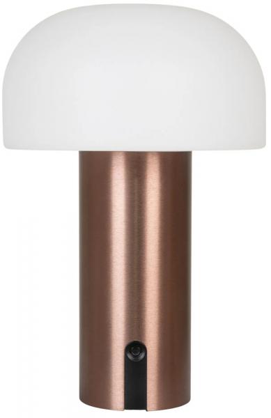SELSEY Lampa ogrodowa Soham LED miedziana