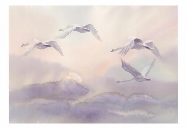 SELSEY Fototapeta Lecące łabędzie 400x280 cm