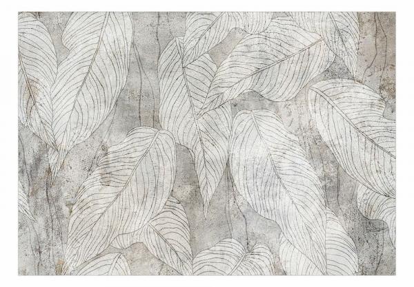 SELSEY Fototapeta Cień przepełniony szumem 300x210 cm