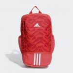 Football Backpack