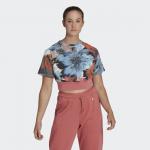 Allover Print Cropped Tee