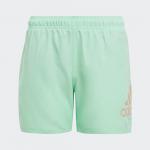 Logo CLX Swim Shorts