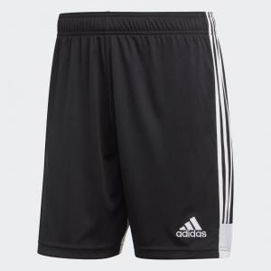 Tastigo 19 Shorts