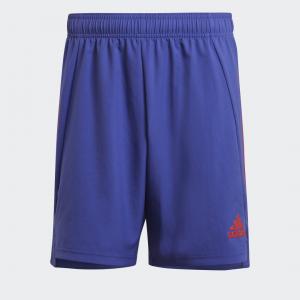 Condivo 21 Primeblue Shorts