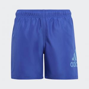 Logo CLX Swim Shorts
