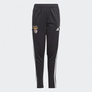 Benfica Condivo Training Pants