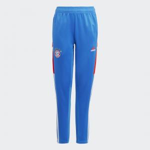 FC Bayern Condivo 22 Training Pants