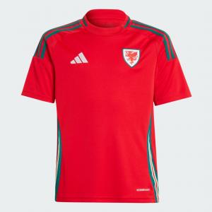 Wales 24 Home Jersey Kids