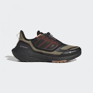 Ultraboost 22 GORE-TEX Shoes