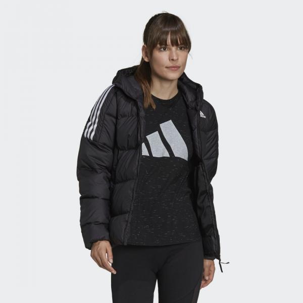 Essentials Midweight Down Hooded Jacket