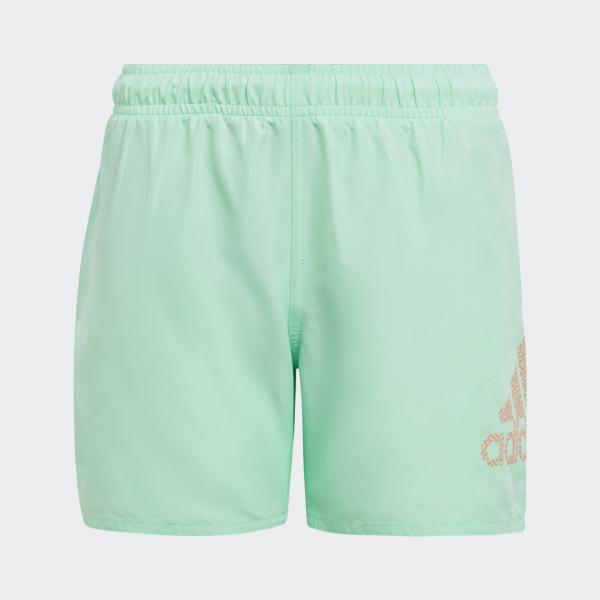 Logo CLX Swim Shorts