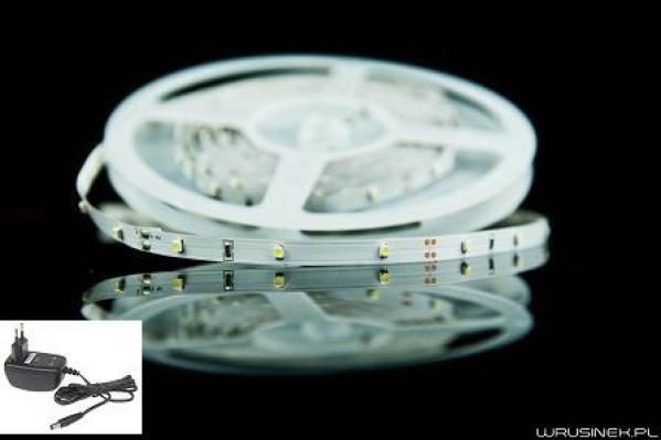 Taśma Listwa LED 3528 150 diod/5m biała zimna + zasilacz