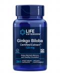 Ginkgo Biloba Certified Extract 120 mg (365 kaps.)