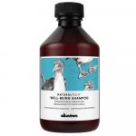 Naturaltech Wellbeing Shampoo codzienny szampon dla zdrowych włosów 250ml