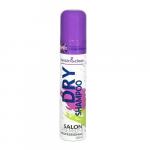 Professional Salon Premium Dry Shampoo odświeżający suchy szampon do włosów 200ml