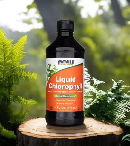 Now foods - Chlorophyll, Chlorofil w płynie - 473 ml