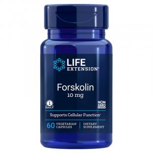Forskolin - Pokrzywa indyjska (Coleus Forskohlii) ekstrakt (60 kaps.)