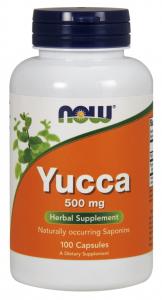 Yucca - Korzeń Yukka 500 mg (100 kaps.)