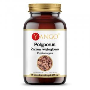 YANGO Polyporus - Żagiew wielogłowa 10% polisacharydów (90 kaps.)