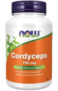 Grzyb Cordyceps 750 mg (90 kaps.)