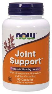 Joint Support - Wsparcie Stawów (90 kaps.)