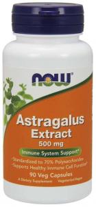 Astragalus Extract - Traganek 500 mg (90 kaps.)