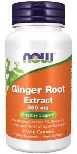 Ginger Root Extract - Wyciąg z korzenia imbiru 250 mg (90 kaps.)