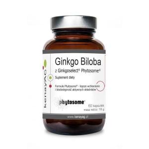 Ginkgo Biloba z Ginkgoselect Phytosome (60 kaps.)