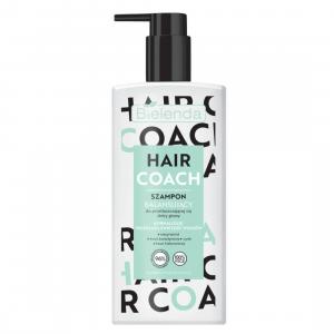 Hair Coach balansujący szampon do przetłuszczającej się skóry głowy 300ml