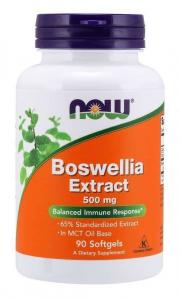 Boswellia 500 mg ekstrakt (90 kaps.)