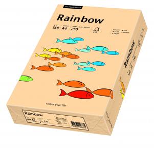 Papier kolorowy Rainbow A4 160g/250ark., nr 40 - łososiowy