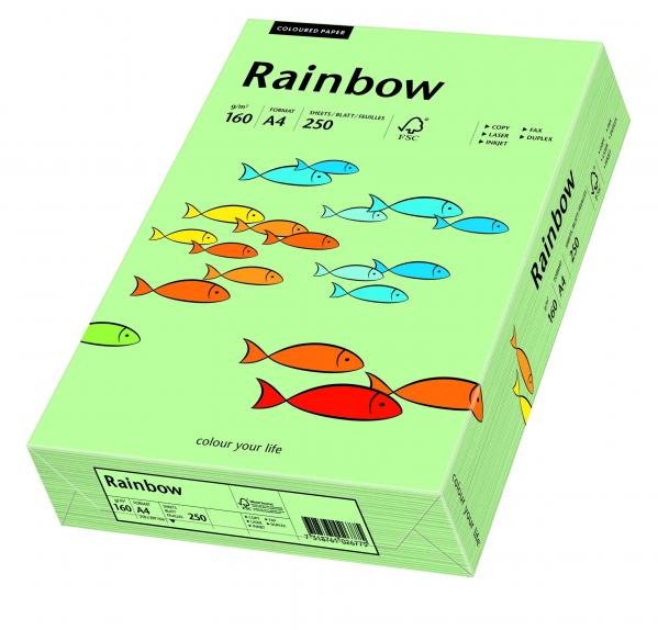 Papier kolorowy Rainbow A4 160g/250ark., nr 75 - przygaszona zieleń