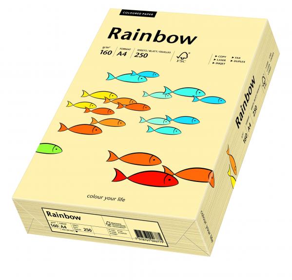 Papier kolorowy Rainbow A4 160g/250ark., nr 06 - kość słoniowa