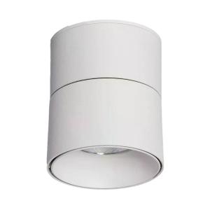 Lampa spot z regulacją Estetica ABR-LPR-15W-B-NW Abruzzo LED 15W 4000-4500K biały