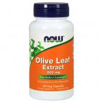 Olive Leaf extract standaryzowany Liść Oliwny 500 mg 60 kapsułek