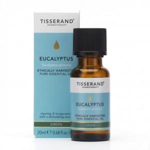 Eucalyptus Ethically Harvested Olejek Eukaliptusowy 20 ml Tisserand Aromatherapy