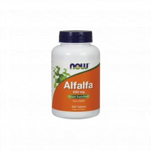 Alfalfa Lucerna Siewna 650 mg 250 tabletek NOW FOODS