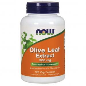 Olive Leaf extract standaryzowany Liść Oliwny 500 mg 120 kapsułek