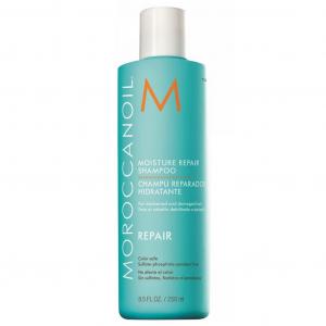 Repair Moisture Shampoo szampon nawilżająco-odżywczy do zniszczonych włosów 250ml