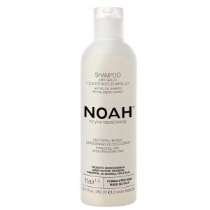 Anti-Yellow Shampoo With Blueberry Extract szampon do włosów blond i siwych 250ml