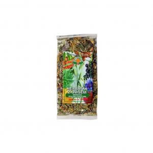 Natura Wita Herbata z Owsem 100 g zioł-owocowa
