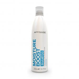 Care & Style Moisture Boost Shampoo nawilżający szampon do włosów suchych i matowych 300ml