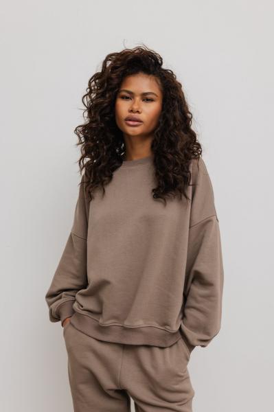 Bluza damska o kroju regular fit w kolorze GRAY TAUPE- PHENIX-UNI