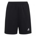 Entrada 22 Training Shorts