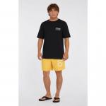 Szorty plażowe męskie O\'Neill Original Cali 16\'\'