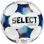 Piłka do piłki nożnej Brillant Training DB v25 FIFA Basic Ball rozmiar 3