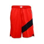 Spodenki Nike Toronto Raptors Swingman Shorts Road University