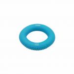 Przyrząd do ćwiczeń Y&Y Vertical Climbing Ring 25 kg - blue
